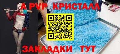 твердый Кингисепп