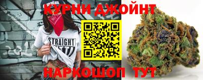 твердый Кингисепп