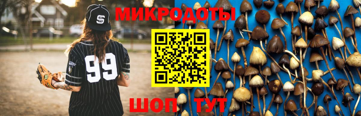 Галлюциногенные грибы MAGIC MUSHROOMS Кубинка