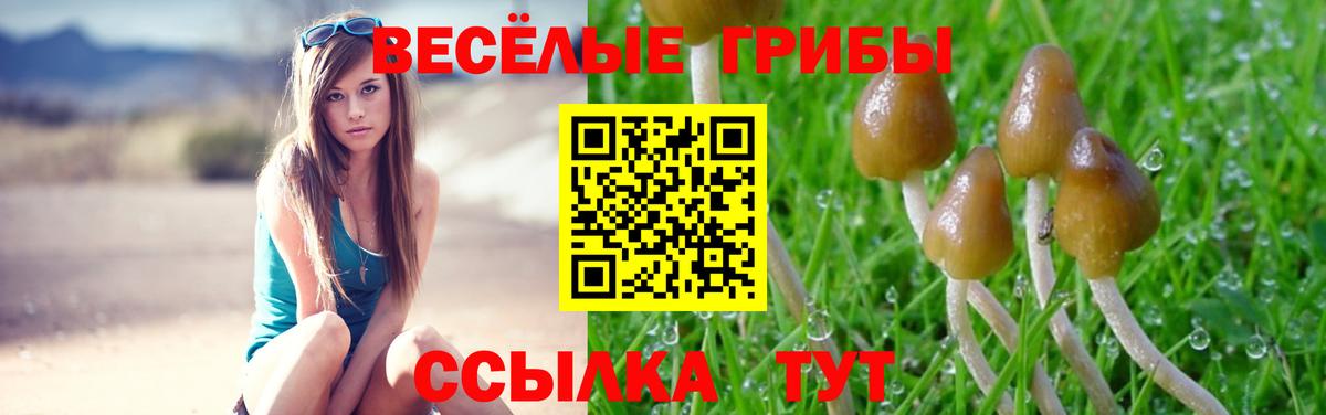 Кубинка  Галлюциногенные грибы прущие грибы  Вход с VPN  Галлюциногенные грибы мицелий 