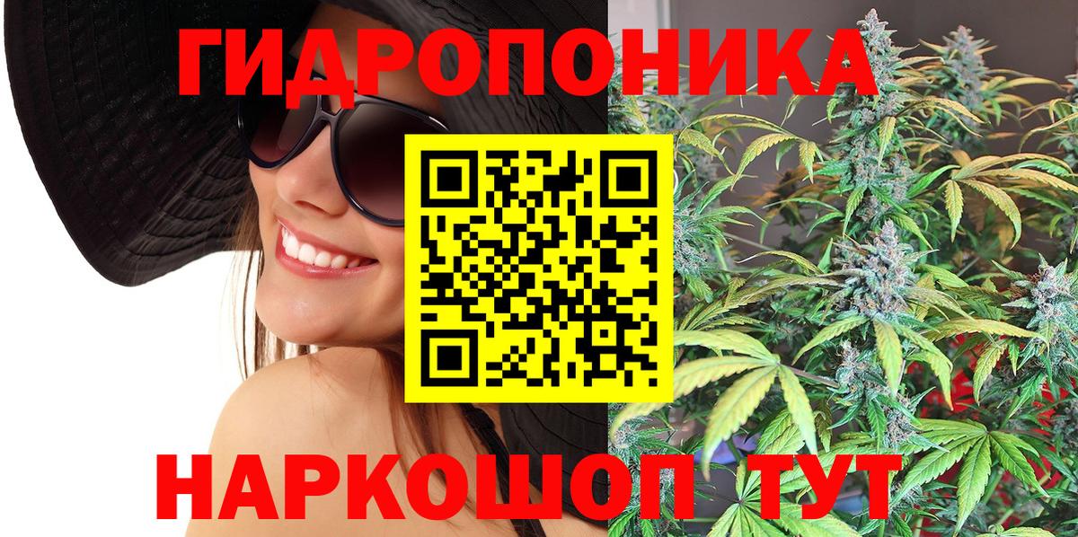 Конопля гибрид Кубинка